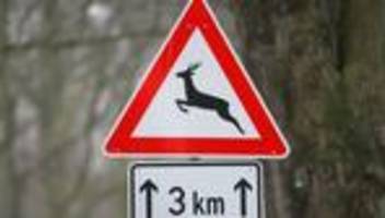 Unfälle: Autofahrer kracht ungebremst gegen Baum – schwer verletzt