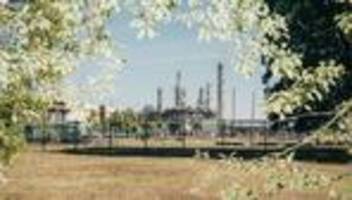 hohe spritpreise: warum sind nur in deutschland die benzinpreise so explodiert?