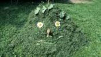 allergien bei kindern: wie eltern ihren kindern bei allergien helfen können