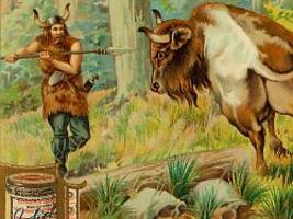 Mysteriöser Fund in Grabnähe: Holzpflock in uraltem Ochsenschädel gibt Rätsel auf