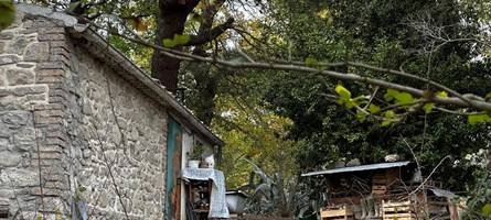 Die „Waldfamilie“ spaltet Italien: Jetzt schaltet sich Ministerpräsidentin Meloni ein