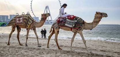 irankrieg und die folgen: so unterschiedlich schauen influencer auf die lage in dubai