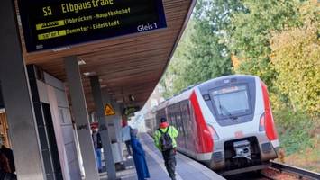 Mann (32) steigt wegen Feuerzeug ins Gleisbett – Streckensperrung in Hamburg