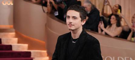 timothée chalamet: „ich bin nicht nur der typ für schöne, sichere rollen“