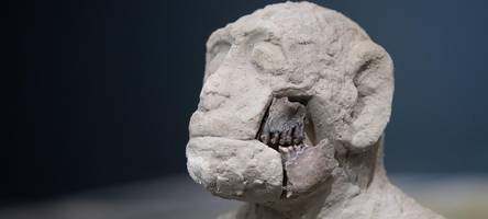 Rekordsumme trotz Sparzwang: Dafür gibt die bayerische Regierung die „Fraktionsreserve“ aus