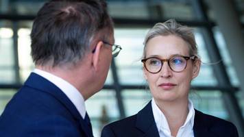 das afd-erfolgsgeheimnis: schwimmgürtel an fans und nichtwähler