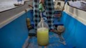 Energiekrise in Asien: Jeder kämpft für sich allein