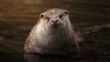 Naturschutz: Die gefährliche Ignoranz beim Naturschutz