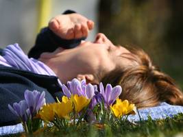 Glosse: Das Streiflicht