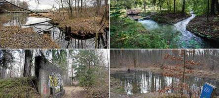 Von Bombentrichtern und Zwangsarbeit: Fünf Orte im Stadtwald, die Geschichte schrieben