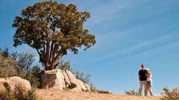 paar lebte ihren traum fernab der zivilisation – bis ein medizinischer notfall kam