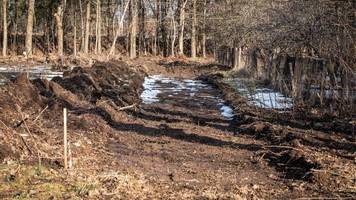 xavi (17) findet mit metalldetektor eine bombe nur 10 zentimeter unter der erde