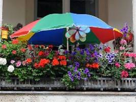 Ärger ums Grün?: Welche Bepflanzung auf dem Balkon erlaubt ist