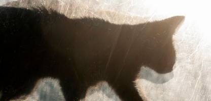 freitag, der 13.: diese tage bringen wirklich unglück