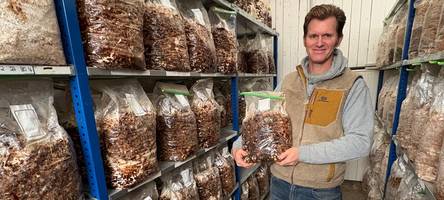 Hier im Allgäu wächst der König der Edelpilze