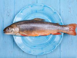 roman: er hat ja jetzt zeit