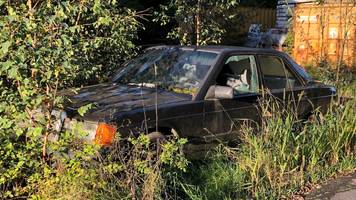 Unseren Autos droht der Kuba-Effekt, doch das ist gut so