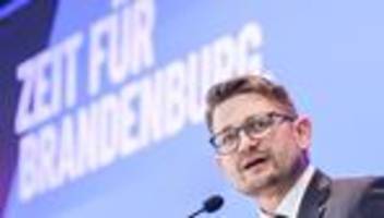 Vorstandswahl: Brandenburgs AfD streitet über kleinere Parteitage