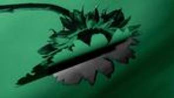 Landtagswahl in Baden-Württemberg: Die Euphorie ist erstickt