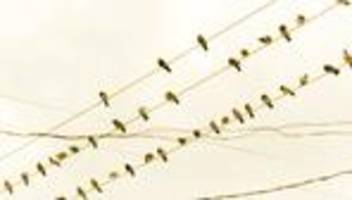 börse und irankrieg: was, wenn es doch länger dauert?