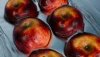 geld sparen: zehn spartipps, an die sie jetzt nicht gedacht hätten