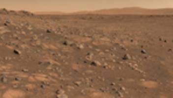 marsbesiedlung: erst die maus, dann der mensch?