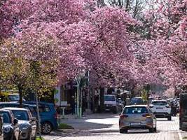 Autoverkehr geht nicht zurück: Deutsche lassen sich von hohen Benzinpreisen nicht bremsen