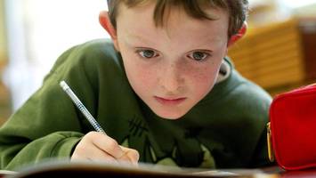 alle hamburger zweitklässler werden getestet – und kaum einer weiß es