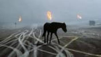 erdöl: verfluchtes schwarzes gold