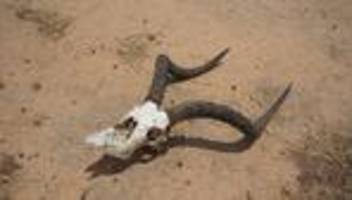 Kolonialismus in Namibia: Das Land meiner Familie. Und die Menschen, die dort ermordet wurden