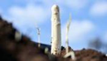 landwirtschaft: erster spargel in teilen badens - das müssen genießer wissen