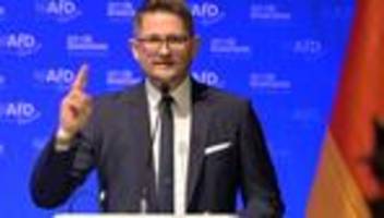 Vorstandswahl: Springer bleibt Brandenburgs AfD-Chef - Regieren als Ziel