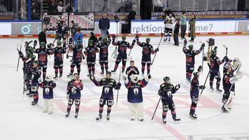 eisbären: der riese erwacht aus dem winterschlaf