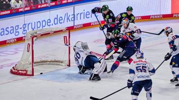 eisbären liefern ein furioses finale und werden sechster
