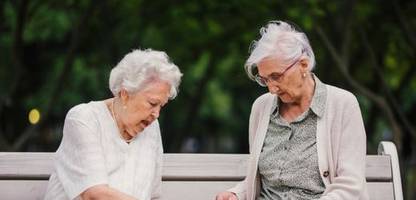 alzheimer: wie darmbakterien dem gedächtnis schaden