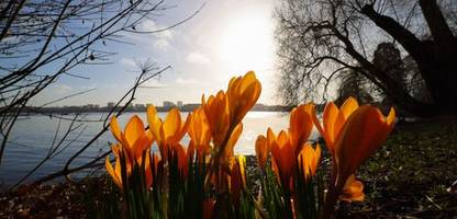 Der Frühling kommt zurück – mit Sonne und fast 20 Grad