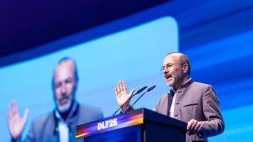 bröckelnde brandmauer: cdu und csu haben ein europa-problem