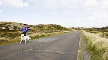 Mit Hund auf Sylt: Warum das Gassi-Gehen jetzt teuer werden könnte