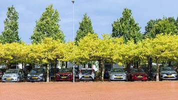 auto zu groß: unternehmer muss außerhalb des zentrums parken – doch es gibt parkplätze in der nähe