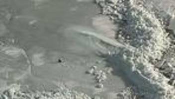 Drama auf dem Eis: SOS aus Eisbrocken: Deutsche Camper von der Ostsee gerettet