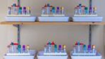 Mammutprojekt in Vorpommern: Große Langzeitgesundheitsstudie geht in nächste Runde