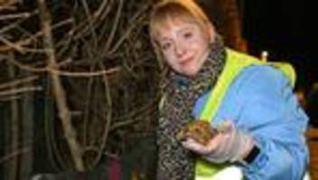 natur- und tierschutz: hilfe für molch, kröte und co: viele freiwillige aktiv