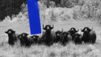 Stefan Einsiedel: Auch in unserem Grundgesetz steht: Eigentum verpflichtet