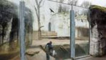 Vandalismus: Müll in Zoogehegen: Tiere müssen beobachtet werden