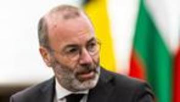 evp und rechtsaußen: friedrich merz missbilligt zusammenarbeit der evp mit rechten parteien