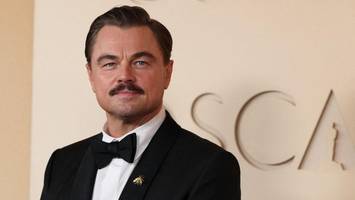Leonardo DiCaprio ohne Oscar, aber mit Schnauzer – und neuem Meme?