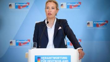 mehrheit der pro-weidel-posts auf tiktok sollen aus nigeria stammen