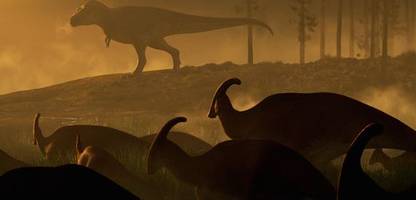 dinosaurier: fund eines schienbeins in den usa – hatte tyrannosaurus rex einen nahen verwandten?