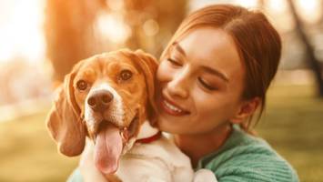 hohe tierarztkosten: hunde und katzen dürfen nicht zum luxusgut werden