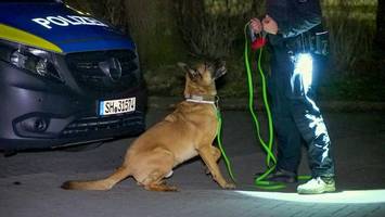 Nach Tod eines 15-Jährigen in Eckernförde: Tatwaffe gefunden?